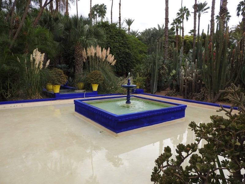 21 Jardin Majorelle